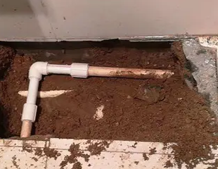 安义测漏水哪家好